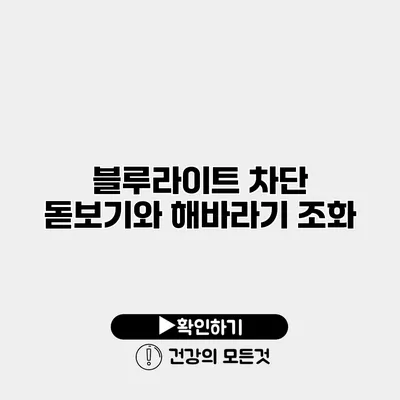 블루라이트 차단 돋보기와 해바라기 조화