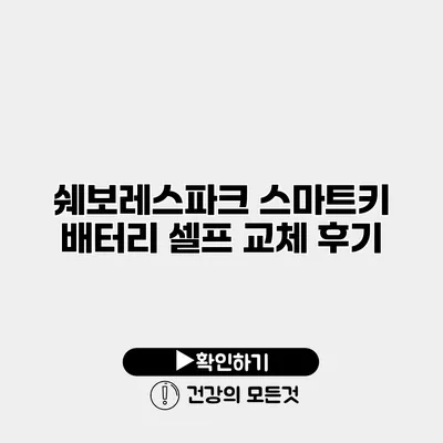 쉐보레스파크 스마트키 배터리 셀프 교체 후기