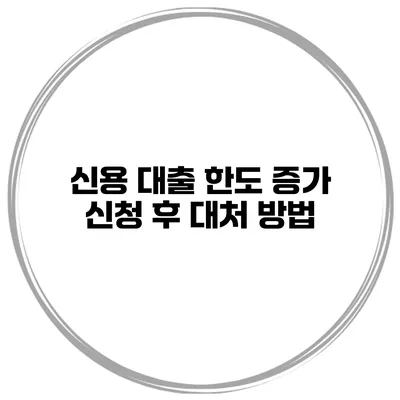 신용 대출 한도 증가 신청 후 대처 방법