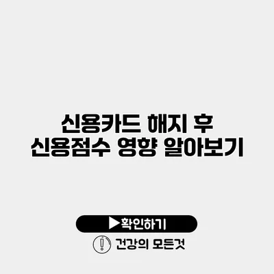 신용카드 해지 후 신용점수 영향 알아보기