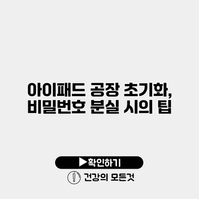 아이패드 공장 초기화, 비밀번호 분실 시의 팁