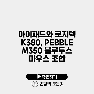 아이패드와 로지텍 K380, PEBBLE M350 블루투스 마우스 조합