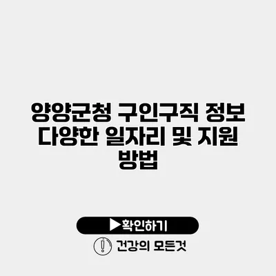 양양군청 구인구직 정보 다양한 일자리 및 지원 방법
