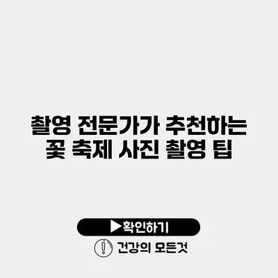 촬영 전문가가 추천하는 꽃 축제 사진 촬영 팁