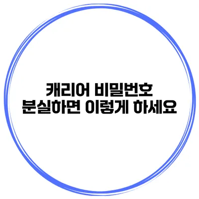 캐리어 비밀번호 분실하면 이렇게 하세요