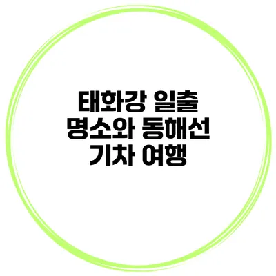태화강 일출 명소와 동해선 기차 여행