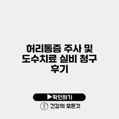 허리통증 주사 및 도수치료 실비 청구 후기