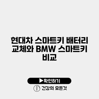 현대차 스마트키 배터리 교체와 BMW 스마트키 비교